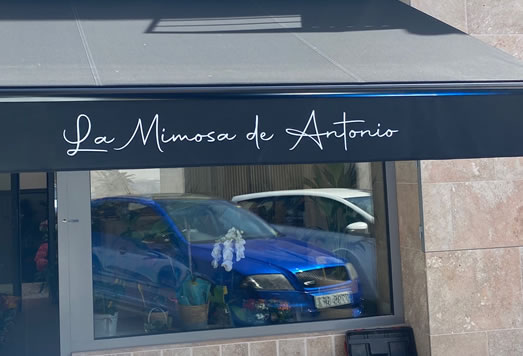 Importancia de los toldos luminosos en el sector de la restauración